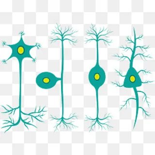 可爱医学细胞矢量图,免抠元素