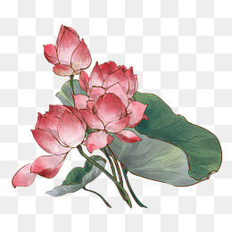 国画水墨中国风荷花,免抠元素(1872*1660px)psd模版下载