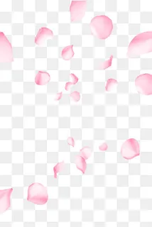 漂浮花瓣免抠PNG,免抠元素