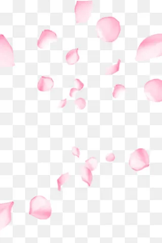 漂浮花瓣免抠PNG,免抠元素