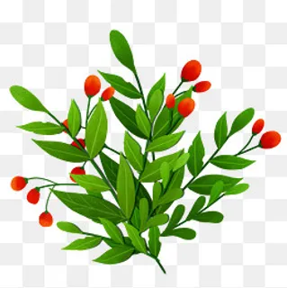 简约绿色植物叶子果子,免抠元素