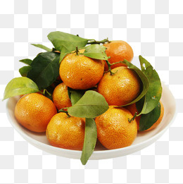 砂糖橘素材,免抠元素