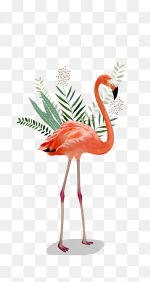 红色火烈鸟,免抠元素