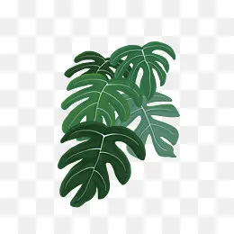 大片叶子植物PNG,免抠元素(2500*2000px)psd模版下载