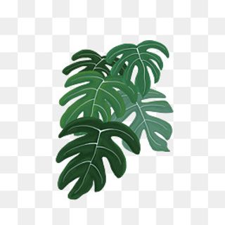 大片叶子植物PNG,免抠元素