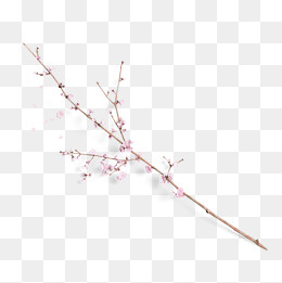 粉红色花枝设计图案,免抠元素