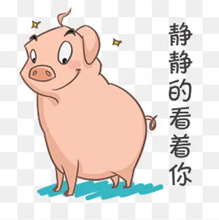 卡通小猪搞怪表情包