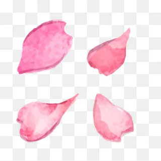 粉红色水彩花瓣春季樱花桃花素材,免抠元素