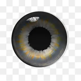 PS制作棕色眼睛瞳孔,免抠元素