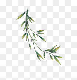 国画水墨中国风竹子,免抠元素