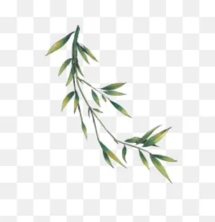 国画水墨中国风竹子,免抠元素