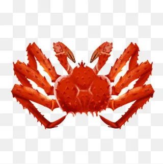 手绘漂亮的海鲜螃蟹,免抠元素