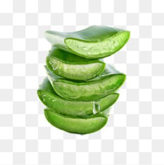 简约绿色芦荟,免抠元素