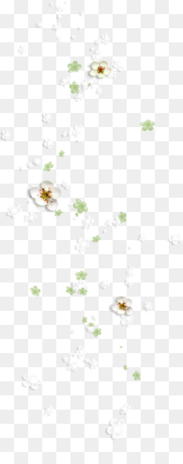 白色小花素材