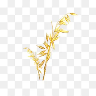 秋收收获季节png下,免抠元素