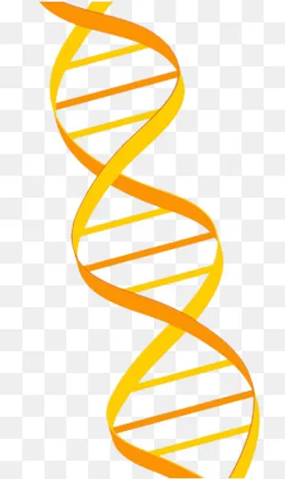 简约基因链PPT元素