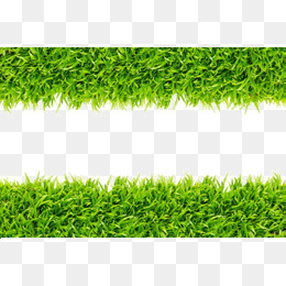 绿色青草装饰边框