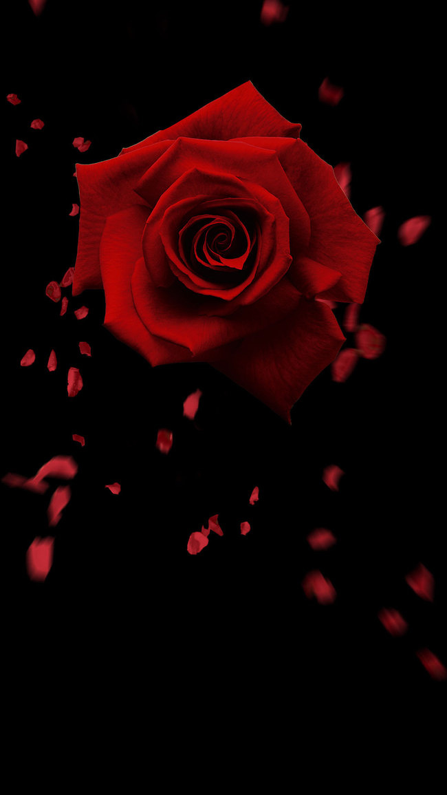 黑色大气浪漫玫瑰花PSD分层H5背景素材背景图片素材,背景元素