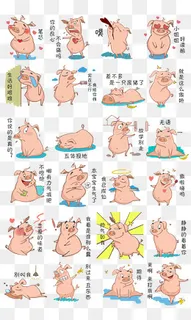 手绘小猪搞笑表情包