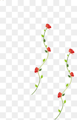 手绘花藤设计素材,免抠元素