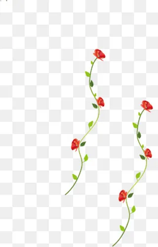 手绘花藤设计素材,免抠元素