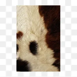 毛皮地毯家具家居贴图纹理