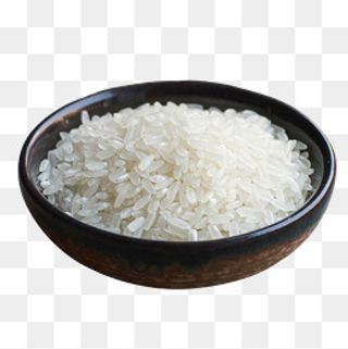 东北长粒米,免抠元素