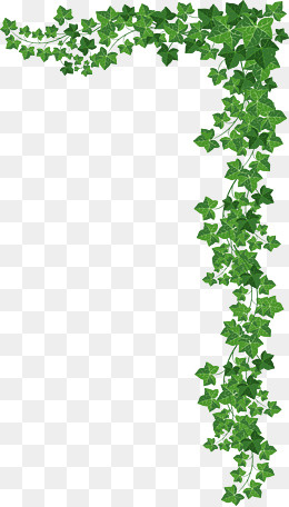 绿色树叶透明背景矢量,免抠元素