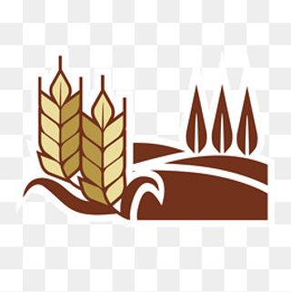 农业稻田大麦logo,免抠元素