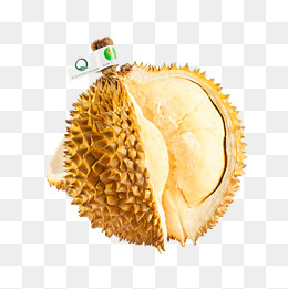 成熟的进口榴莲设计,免抠元素