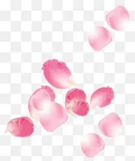花瓣浪漫漂浮元素 花瓣浪漫漂浮元素