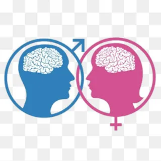 卡通男女头像大脑性别标志PNG,免抠元素