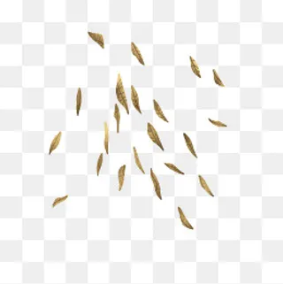 黄色落叶花朵树叶