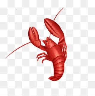 手绘红色的海鲜龙虾,免抠元素