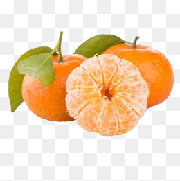 沙糖桔图片,免抠元素