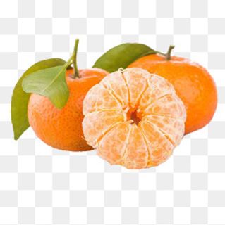 沙糖桔图片,免抠元素