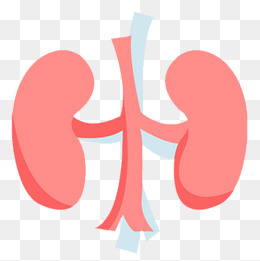 不规则图形彩色肾设计素材