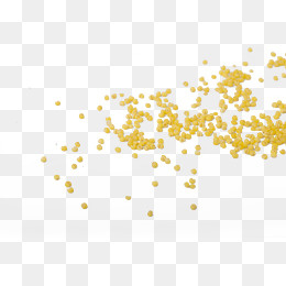 实拍散落金黄色小米