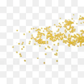 实拍散落金黄色小米