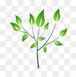 3月12日植树节活力创意小树素材,免抠元素