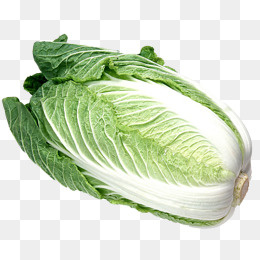 一颗大白菜,免抠元素