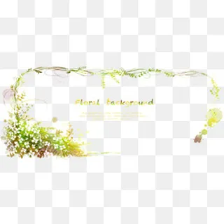 白色小花与藤蔓植物