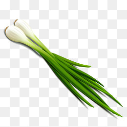 卡通大葱矢量图下载,免抠元素