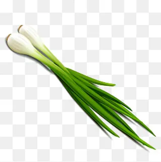 卡通大葱矢量图下载,免抠元素