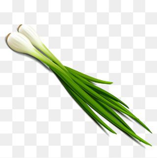 卡通大葱矢量图下载,免抠元素