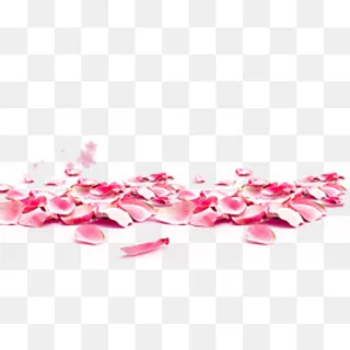 免抠粉色玫瑰花瓣装饰,免抠元素