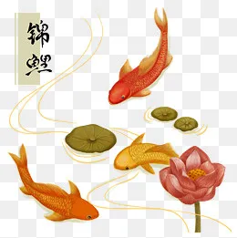 猪年农历幸运中国风锦鲤红鱼荷花,免抠元素