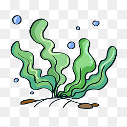 海洋植物手绘绿色海草,免抠元素