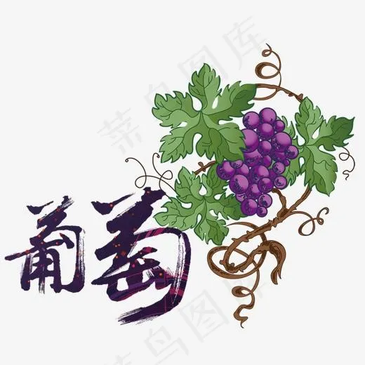 新鲜葡萄