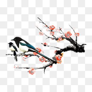 国画梅花喜鹊素材,免抠元素